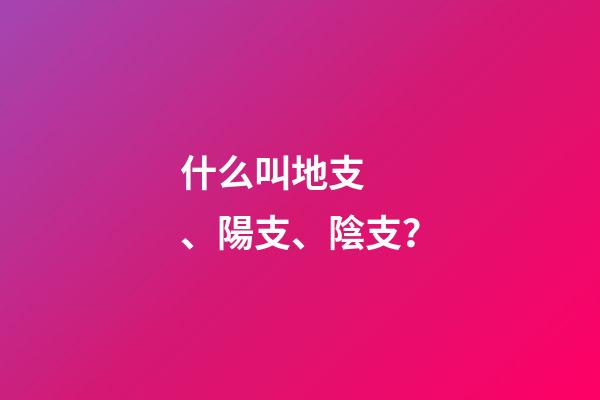 什么叫地支、陽支、陰支？